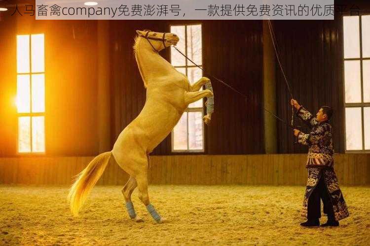 人马畜禽company免费澎湃号，一款提供免费资讯的优质平台